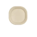 Amatraa 9″ (229 mm) Plates Pack of (125pc)