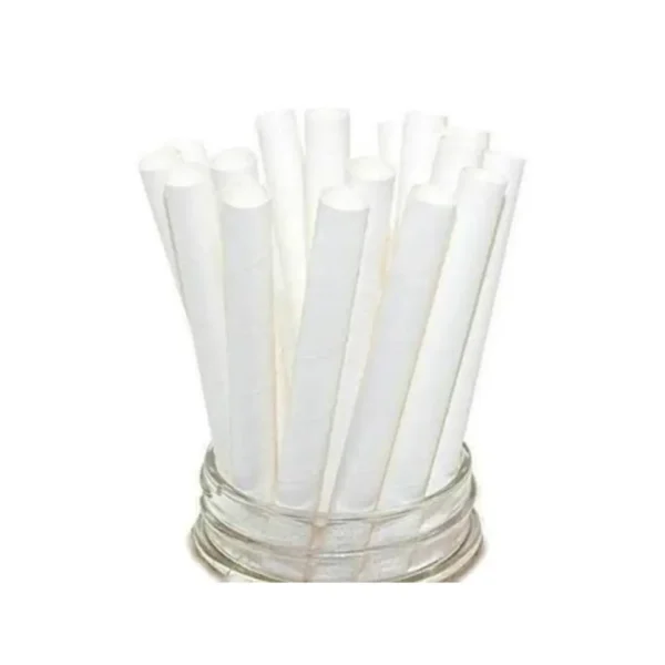 Amatraa Disposable 6 mm Paper Straws – Pack of (100pc)
