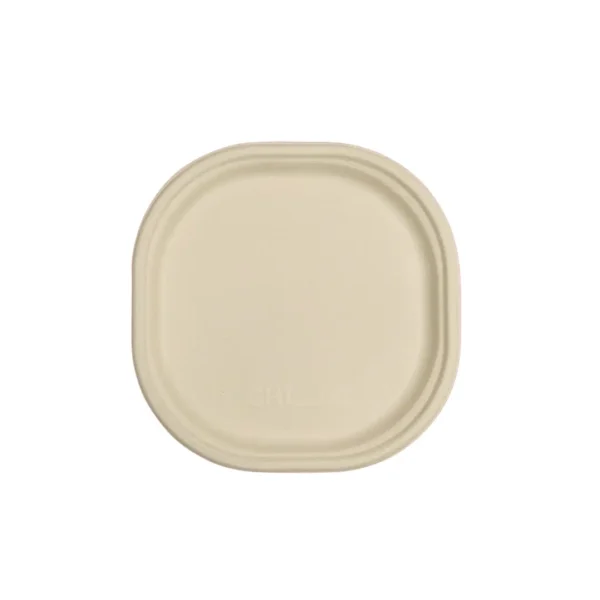 Amatraa 10″ (255 mm) Plates Pack of (125pc)