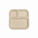 Amatraa 3CP Sugarcane Bagasse Disposable Meal Plate – Chombo (125pc)