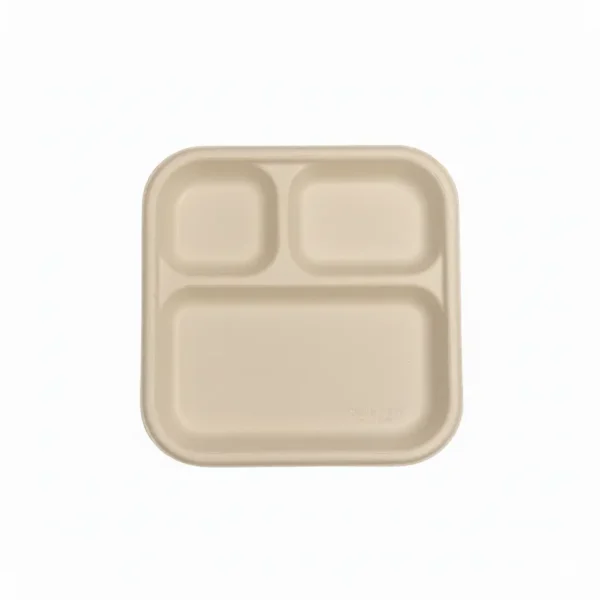 Amatraa 3CP Sugarcane Bagasse Disposable Meal Plate – Chombo (125pc)